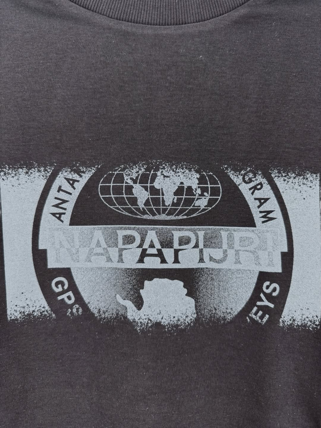 Napapijri Svanni T-Shirt
